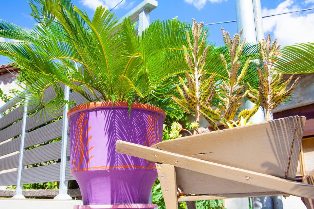 Aelia Holiday home